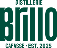 Logo Brillo Green